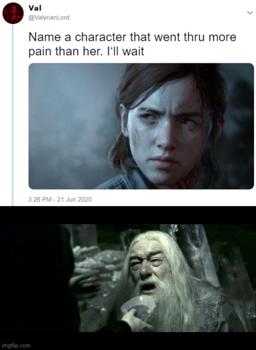 image tagged in name one character who went through more pain than her,dumbledore poison,harry potter,memes | made w/ Imgflip meme maker