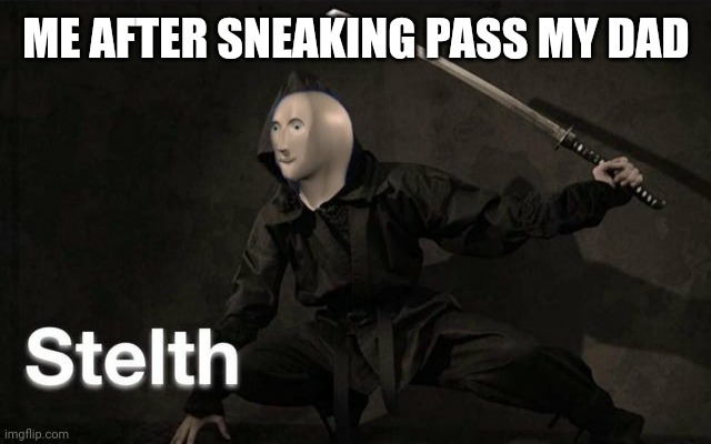 Stelth | ME AFTER SNEAKING PASS MY DAD | image tagged in stelth | made w/ Imgflip meme maker