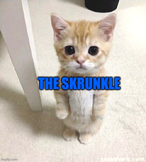 Cute Cat Meme | THE SKRUNKLE | image tagged in memes,cute cat | made w/ Imgflip meme maker