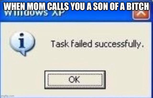 “Wait, that’s illegal” | WHEN MOM CALLS YOU A SON OF A BITCH | image tagged in task failed successfully | made w/ Imgflip meme maker