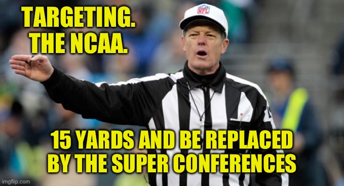 The NCAA is corrupt. Time to replace it. This is the most important function of the league of shadows. | TARGETING. THE NCAA. 15 YARDS AND BE REPLACED BY THE SUPER CONFERENCES | image tagged in nfl ref referee call foul penalty,college football,michigan football,corruption,batman,puppies and kittens | made w/ Imgflip meme maker
