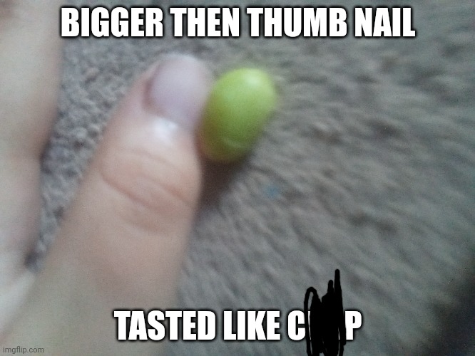 BIGGER THEN THUMB NAIL; TASTED LIKE CRAP | image tagged in funny memes | made w/ Imgflip meme maker