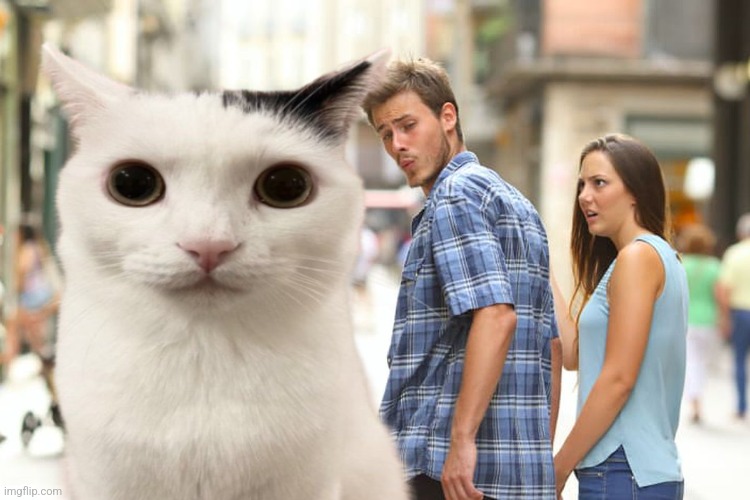 Distracted Boyfriend | image tagged in memes,distracted boyfriend | made w/ Imgflip meme maker