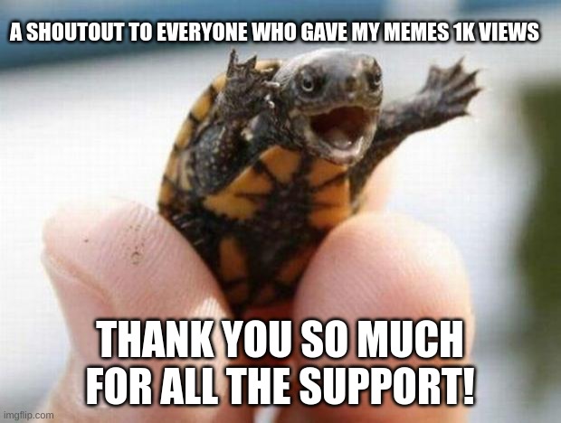 Thank You Guys!!!!! | A SHOUTOUT TO EVERYONE WHO GAVE MY MEMES 1K VIEWS; THANK YOU SO MUCH FOR ALL THE SUPPORT! | image tagged in happy baby turtle | made w/ Imgflip meme maker
