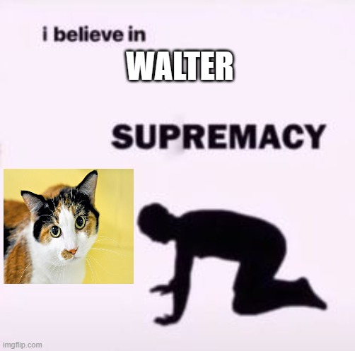 neighbourly podcast meme | WALTER | image tagged in i believe in supremacy | made w/ Imgflip meme maker
