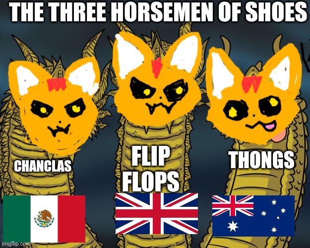 Shoes ft. Katastrophe | THE THREE HORSEMEN OF SHOES; FLIP FLOPS; THONGS; CHANCLAS | image tagged in three-headed dragon,funny cats | made w/ Imgflip meme maker