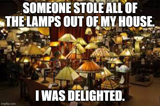 meme by Brad someone stole all my lamps | SOMEONE STOLE ALL OF THE LAMPS OUT OF MY HOUSE. I WAS DELIGHTED. | image tagged in humor | made w/ Imgflip meme maker