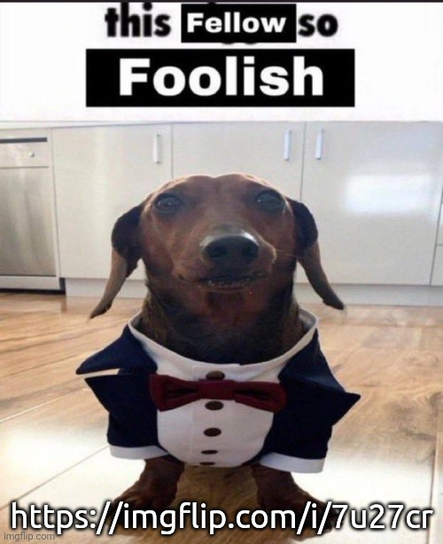This fellow is so foolish | https://imgflip.com/i/7u27cr | image tagged in this fellow is so foolish | made w/ Imgflip meme maker