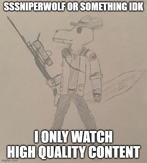 not my drawing, a template i found | SSSNIPERWOLF OR SOMETHING IDK; I ONLY WATCH HIGH QUALITY CONTENT | image tagged in lordreaperus but he s a tf2 sniper,sssniperwolf,youtubers,doxxing,or something idk,memes | made w/ Imgflip meme maker