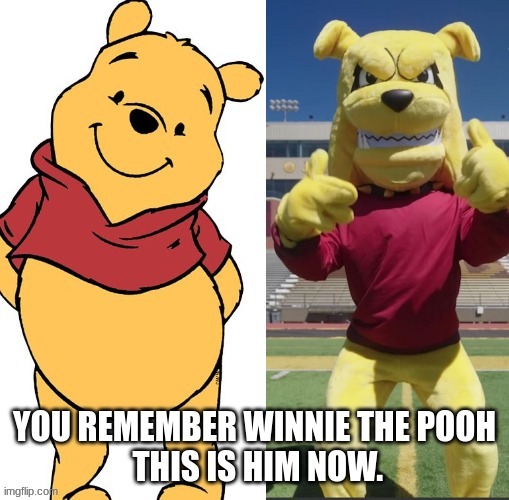 Winnie the pooh this is him now. | image tagged in winnie the pooh,meme,funny memes | made w/ Imgflip meme maker