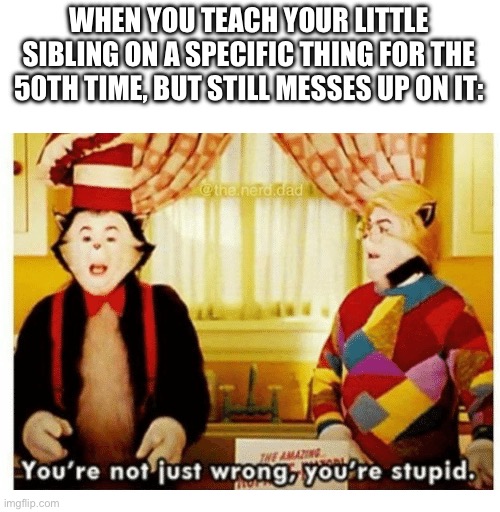 Why don’t you just do it right!?!?!? | WHEN YOU TEACH YOUR LITTLE SIBLING ON A SPECIFIC THING FOR THE 50TH TIME, BUT STILL MESSES UP ON IT: | image tagged in you're not just wrong your stupid | made w/ Imgflip meme maker