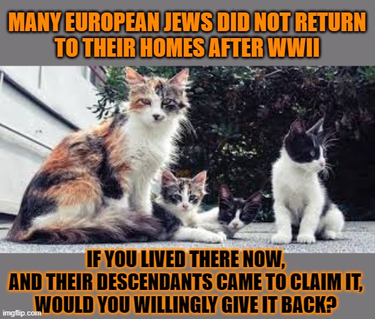 This #lolcat wonders if everyone has the right to live where their ancestors once lived | MANY EUROPEAN JEWS DID NOT RETURN
TO THEIR HOMES AFTER WWII; IF YOU LIVED THERE NOW,
AND THEIR DESCENDANTS CAME TO CLAIM IT,
WOULD YOU WILLINGLY GIVE IT BACK? | image tagged in palestine,israel,jews,holocaust,lolcat,think about it | made w/ Imgflip meme maker