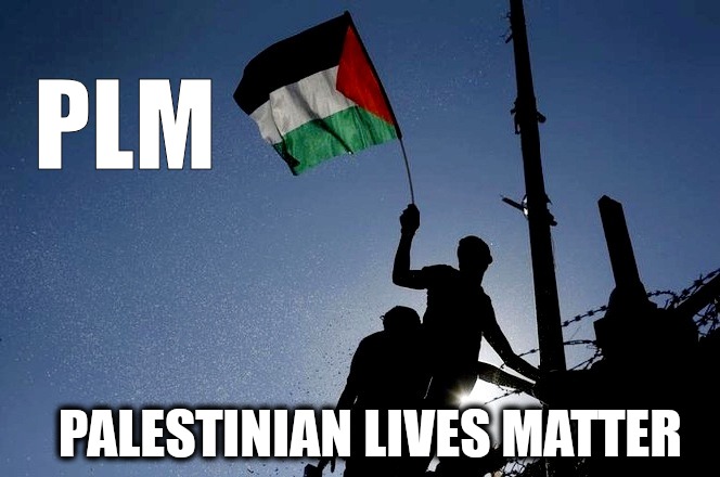 Palestinian lives matter | PLM; PALESTINIAN LIVES MATTER | image tagged in israel,war | made w/ Imgflip meme maker