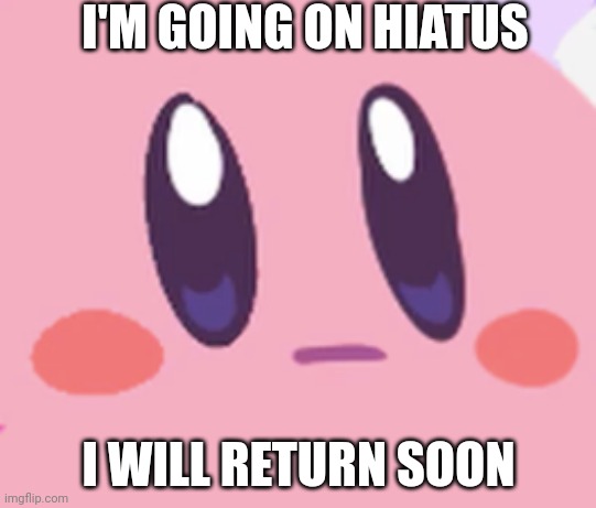 It is because I don't have any ideas | I'M GOING ON HIATUS; I WILL RETURN SOON | image tagged in blank kirby face | made w/ Imgflip meme maker