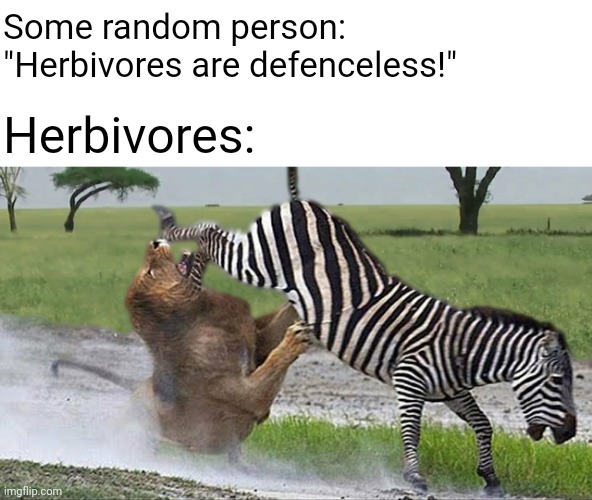 Some random person: "Herbivores are defenceless!"; Herbivores: | made w/ Imgflip meme maker