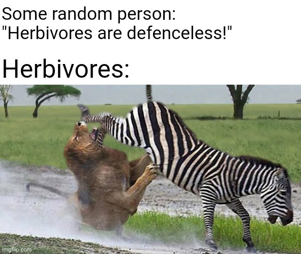 E.mp3 | Some random person: "Herbivores are defenceless!"; Herbivores: | made w/ Imgflip meme maker