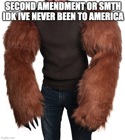 AMERICA | SECOND AMENDMENT OR SMTH IDK IVE NEVER BEEN TO AMERICA | image tagged in bear arms,terrible puns,dad joke | made w/ Imgflip meme maker