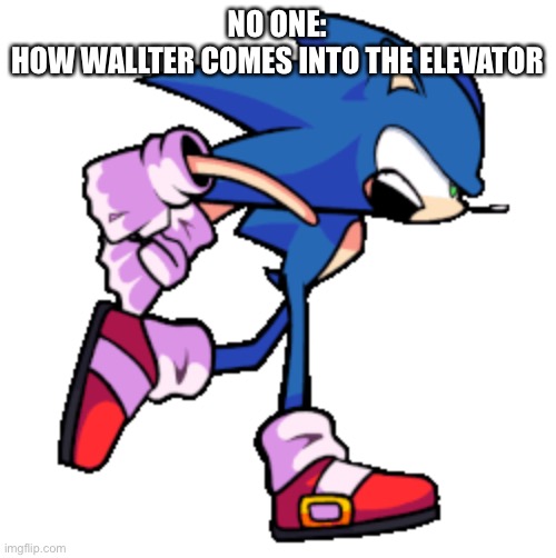 I decided to post a regretevator meme with one of my favourite fnf mods but i was too lazy to put a background | NO ONE:
HOW WALLTER COMES INTO THE ELEVATOR | made w/ Imgflip meme maker