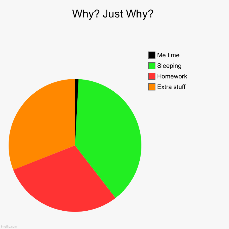 Why? Just Why? | Extra stuff, Homework, Sleeping, Me time | image tagged in charts,pie charts | made w/ Imgflip chart maker