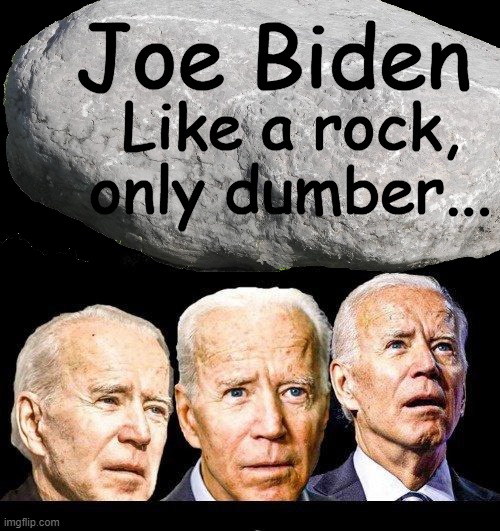 Stumbling & Bumbling POTUS | Joe Biden; Like a rock,
only dumber... | image tagged in politics,elections,consequences,rigged elections,dumb,rock | made w/ Imgflip meme maker