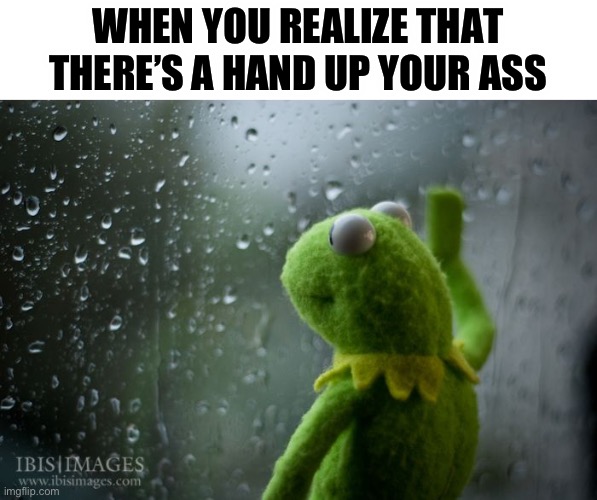 Hang up Kermit | WHEN YOU REALIZE THAT THERE’S A HAND UP YOUR ASS | image tagged in kermit window | made w/ Imgflip meme maker