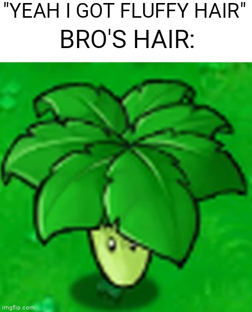 PVZ umbrella leaf | "YEAH I GOT FLUFFY HAIR"; BRO'S HAIR: | image tagged in pvz,funny | made w/ Imgflip meme maker