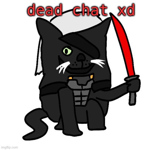 raidencat | dead chat xd | image tagged in raidencat | made w/ Imgflip meme maker