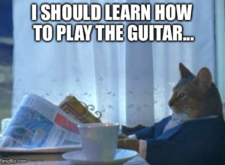 I Should Buy A Boat Cat Meme | I SHOULD LEARN HOW TO PLAY THE GUITAR... | image tagged in memes,i should buy a boat cat | made w/ Imgflip meme maker