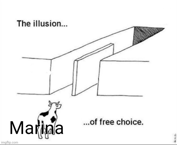 Illusion of free choice | Marina | image tagged in illusion of free choice | made w/ Imgflip meme maker