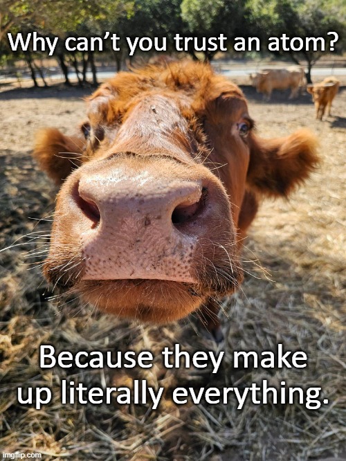 Why can’t you trust an atom? Because they make up literally everything. | image tagged in cow | made w/ Imgflip meme maker