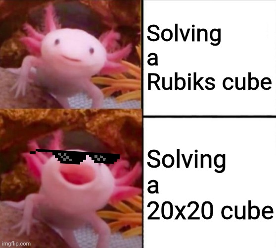 axolotl drake | Solving a Rubiks cube; Solving a 20x20 cube | image tagged in axolotl drake | made w/ Imgflip meme maker