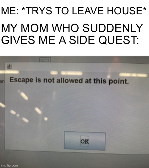 No escape | ME: *TRYS TO LEAVE HOUSE*; MY MOM WHO SUDDENLY GIVES ME A SIDE QUEST: | image tagged in no escape | made w/ Imgflip meme maker