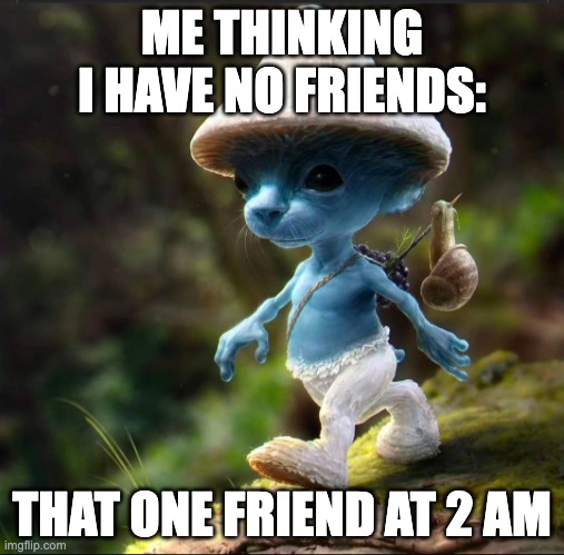 real | ME THINKING I HAVE NO FRIENDS:; THAT ONE FRIEND AT 2 AM | image tagged in blue smurf cat | made w/ Imgflip meme maker