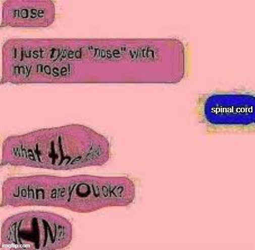 John are you okay? | spinal cord | image tagged in john are you okay | made w/ Imgflip meme maker
