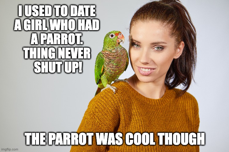 Girl with Parrot | I USED TO DATE 
A GIRL WHO HAD 
A PARROT. 
THING NEVER 
SHUT UP! THE PARROT WAS COOL THOUGH | image tagged in funny memes | made w/ Imgflip meme maker