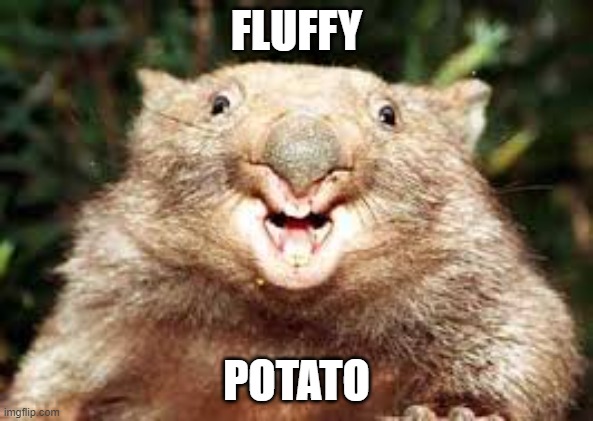 Happy Wombat | FLUFFY; POTATO | image tagged in happy wombat | made w/ Imgflip meme maker