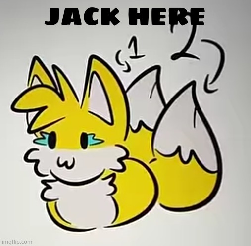 Silly | JACK HERE | image tagged in silly | made w/ Imgflip meme maker