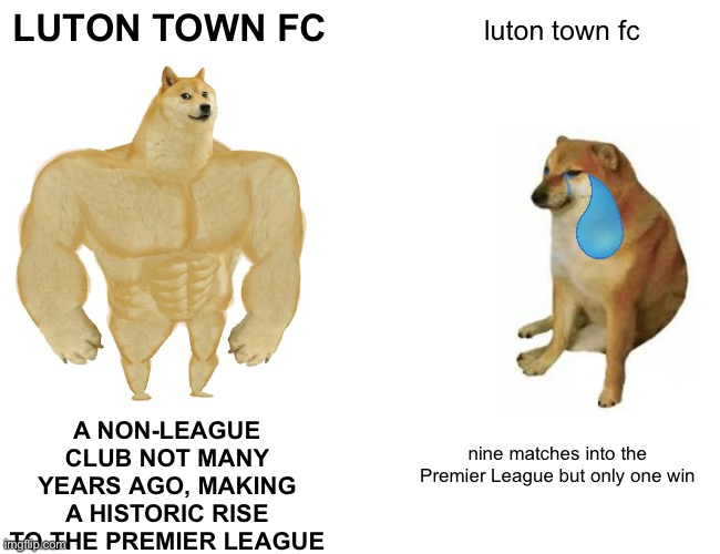 When Buffs Become Cheems | LUTON TOWN FC; luton town fc; A NON-LEAGUE CLUB NOT MANY YEARS AGO, MAKING A HISTORIC RISE TO THE PREMIER LEAGUE; nine matches into the Premier League but only one win | image tagged in memes,buff doge vs cheems | made w/ Imgflip meme maker