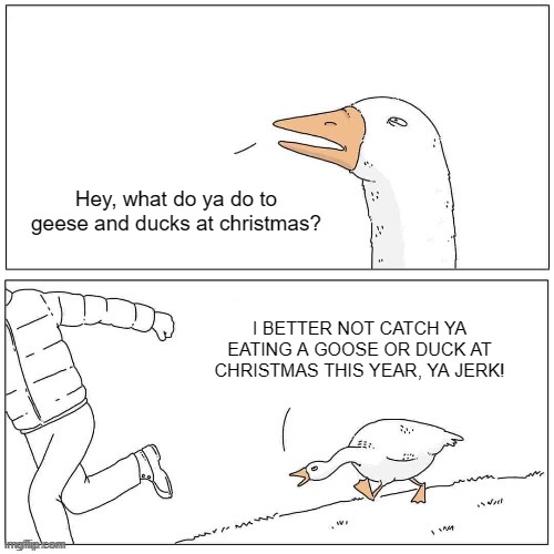 Goose Chase | Hey, what do ya do to geese and ducks at christmas? I BETTER NOT CATCH YA EATING A GOOSE OR DUCK AT CHRISTMAS THIS YEAR, YA JERK! | image tagged in goose chase | made w/ Imgflip meme maker