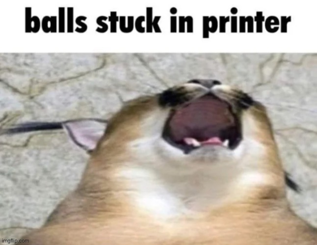 Balls stuck In printer | image tagged in balls stuck in printer,memes,funny | made w/ Imgflip meme maker