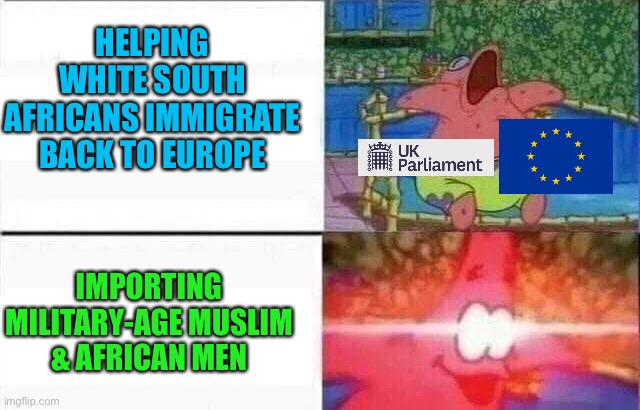 Patrick sleeps | HELPING WHITE SOUTH AFRICANS IMMIGRATE BACK TO EUROPE; IMPORTING MILITARY-AGE MUSLIM
& AFRICAN MEN | image tagged in memes,european union,uk,south africa,immigration,muslims | made w/ Imgflip meme maker