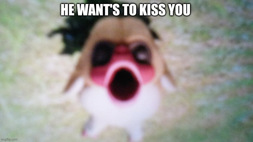 I want to Kiss you | HE WANT'S TO KISS YOU | image tagged in kiss you | made w/ Imgflip meme maker