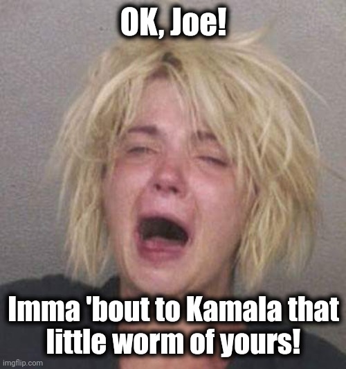 toothless scream | OK, Joe! Imma 'bout to Kamala that
little worm of yours! | image tagged in toothless scream | made w/ Imgflip meme maker