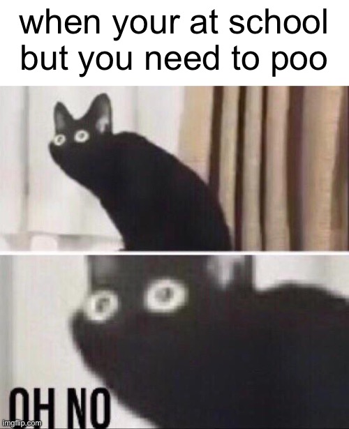 the paper seat thingy takes to long to place so you might as well poop on the floor | when your at school but you need to poo | image tagged in oh no cat | made w/ Imgflip meme maker