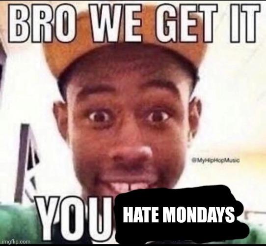 BRO WE GET IT YOU'RE GAY | HATE MONDAYS | image tagged in bro we get it you're gay | made w/ Imgflip meme maker