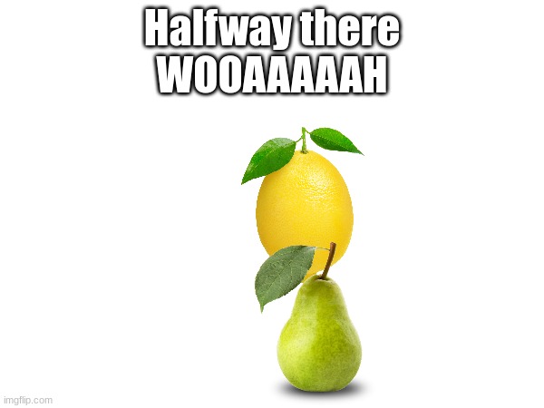 Lemon on a pear | Halfway there
WOOAAAAAH | image tagged in funny,music,music lyrics | made w/ Imgflip meme maker