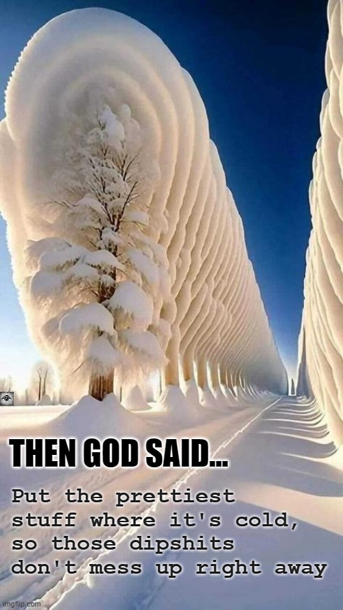 Put the prettiest stuff where it's cold,
so those dipshits don't mess up right away; THEN GOD SAID... | image tagged in snow,god,people | made w/ Imgflip meme maker