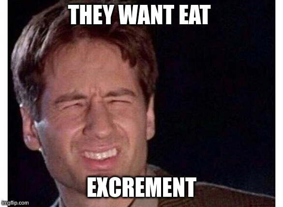 Too Bright | THEY WANT EAT EXCREMENT | image tagged in too bright | made w/ Imgflip meme maker