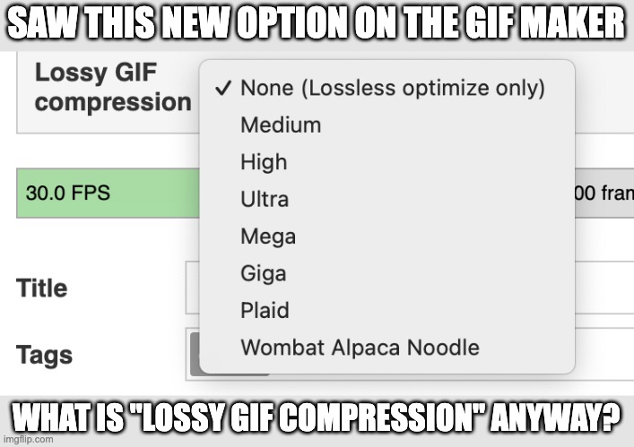 SAW THIS NEW OPTION ON THE GIF MAKER; WHAT IS "LOSSY GIF COMPRESSION" ANYWAY? | made w/ Imgflip meme maker