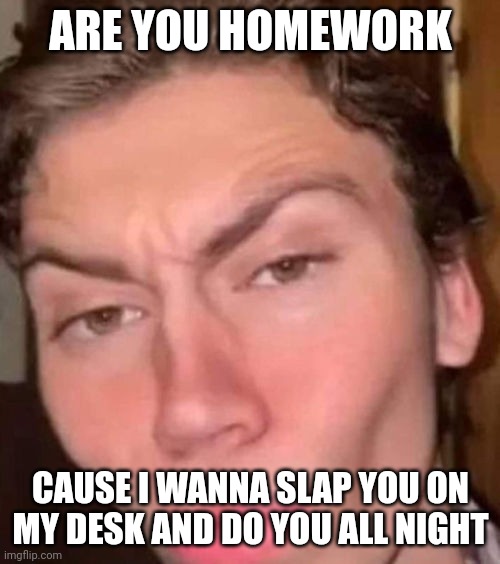 Rizz | ARE YOU HOMEWORK; CAUSE I WANNA SLAP YOU ON MY DESK AND DO YOU ALL NIGHT | image tagged in rizz | made w/ Imgflip meme maker